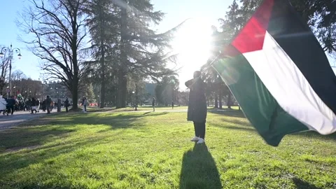Pro Palestinian flag Видео 262425476