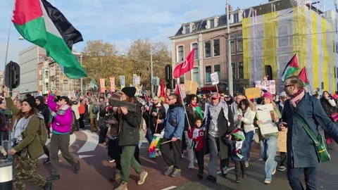 Pro-Palestinian protesters marching with placards and the flags of Palestine Stock Footage 255508533
