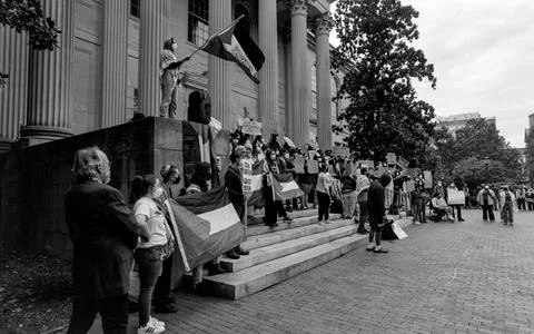 A pro-Palestinian protestor waves flag on steps. Stock-Fotos
