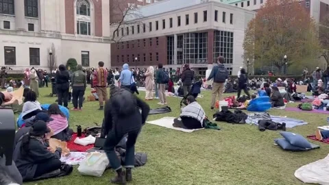 Pro-Palestinian students protest in New York, Nueva York, US - 20 Apr 2024 Stock Footage 273122800