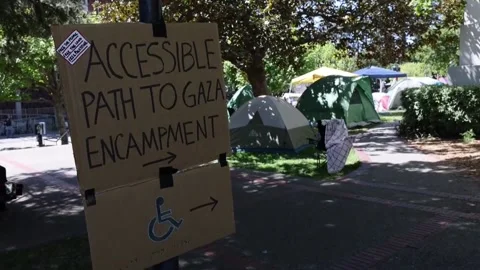 Pro-Palestinian students protest on UC Berkeley campus, ESTADOS UNIDOS, US - 01  Stock Footage 274176871