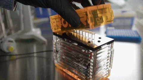 Pro pcr tubes in box Stockbeeldmateriaal 112159603