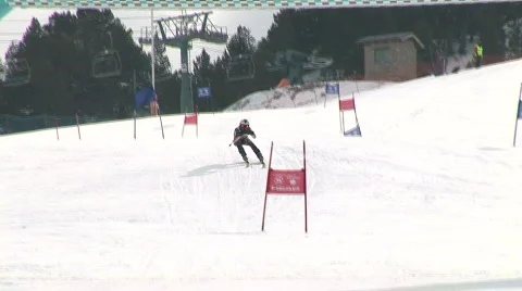 Pro Skier in competition  Stockbeeldmateriaal 90479