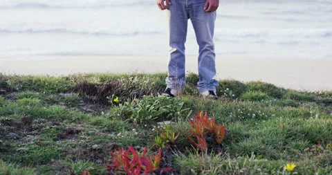 Pro surfer Sergio Cosme standing on grassy hill in front of beach, Portugal Stock Footage 156279300