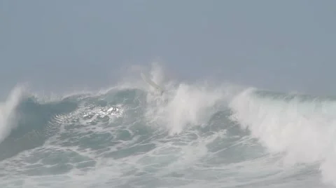 Pro Surfers at Snapper Rocks,Australia during Cyclone Winston swell Ungraded log Stock Footage 61835452