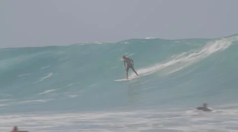 Pro Surfers at Snapper Rocks,Australia during Cyclone Winston swell Ungraded log Stock Footage 61835483