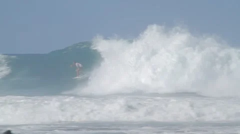 Pro Surfers at Snapper Rocks,Australia during Cyclone Winston swell Ungraded log Stock Footage 61852709