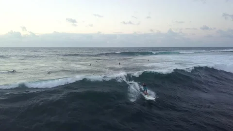 Pro surfing waves at sunset in La Santa Lanzarote Spain Canary Islands Stock Footage 218281738