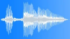 Probebot portfolio Sound Effect