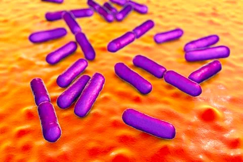 Probiotic bacteria Bacillus clausii Stock Illustration
