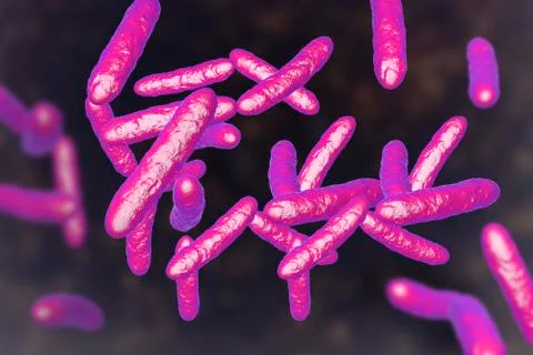 Probiotic bacteria, normal intestinal microflora Stock Illustration