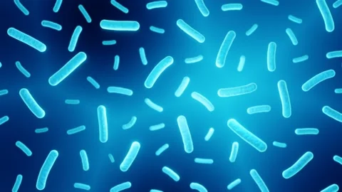 Probiotic bacteria passive movement Stock Footage 151289637