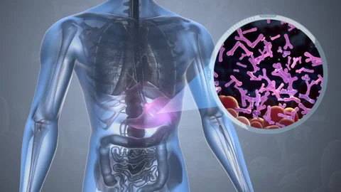 Probiotic Stock Footage 255897367