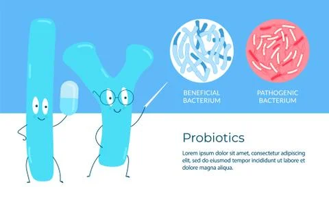 Probiotics concept. Probiotics study positive and pathogenic bacteria. Stock Illustration