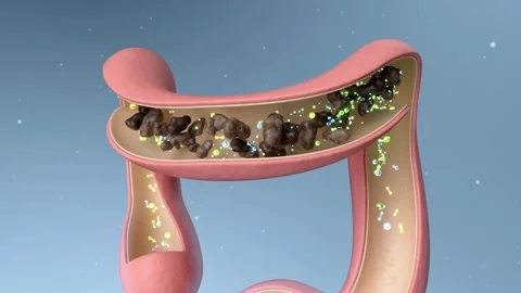 Probiotics improve the digestive process by enhancing intestinal peristalsis. Stock Footage 328501060