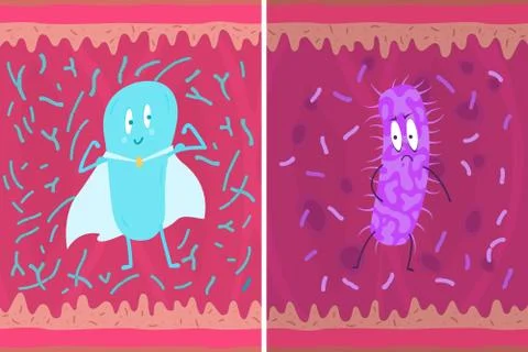 Probiotics pathogenic bacteria against the background of intestinal work. Stock Illustration