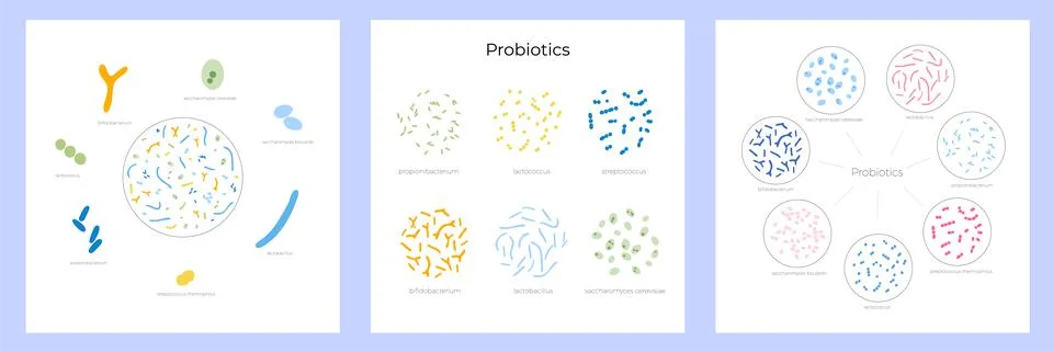 Probiotics set concept Stock Illustration