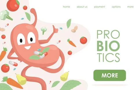 Probiotics vector flat landing page template with text space. Happy stomach Stock Illustration