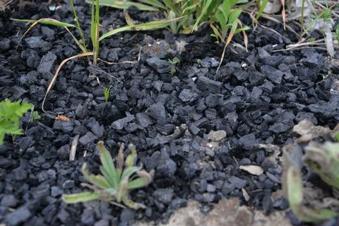The problem of ecology people do not clean up the coal after frying meat and  Stock Photos