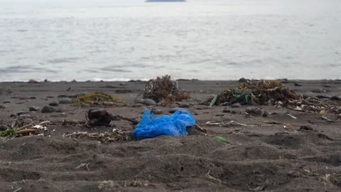 The problem of the environment. The seaside is covered in plastic waste. Stock Footage 154696388