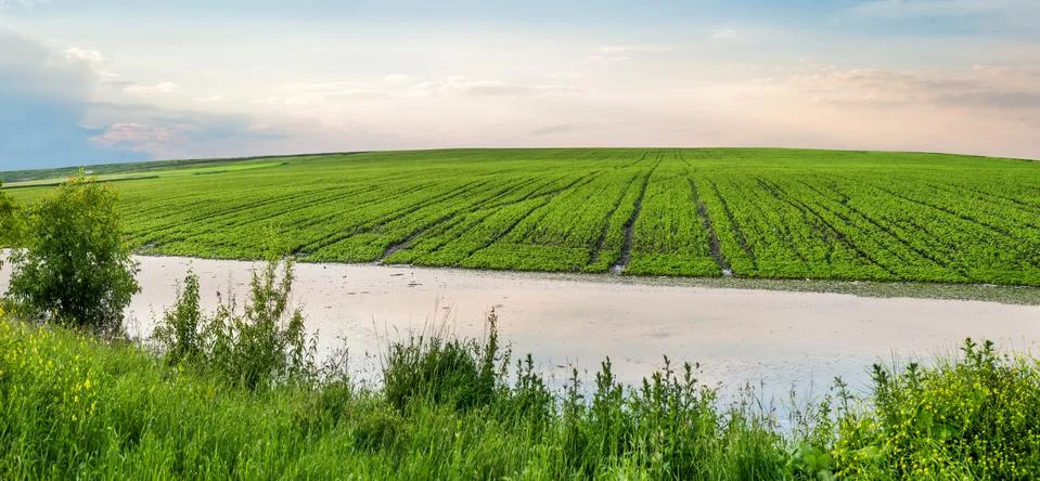 Problem of flooding of agricultural fields due to heavy rains Stock Photos