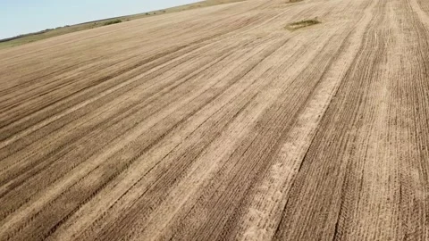 Problem with flying a camera a drone over a beveled farm Vídeos de archivo 137779755