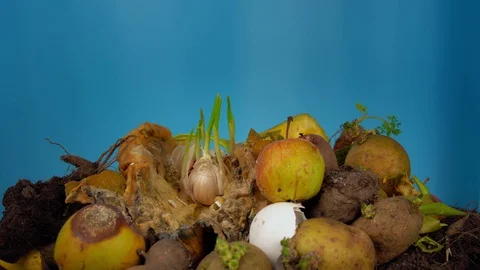 The problem of food waste disposal, composting spoiled vegetables. Stockbeeldmateriaal 129039727
