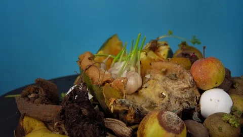 The problem of food waste disposal, composting spoiled vegetables. Stockbeeldmateriaal 129039793