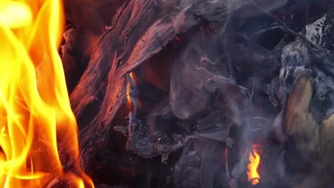 The problem of forest fires that have occurred in Australia severely  Video stock 123055399