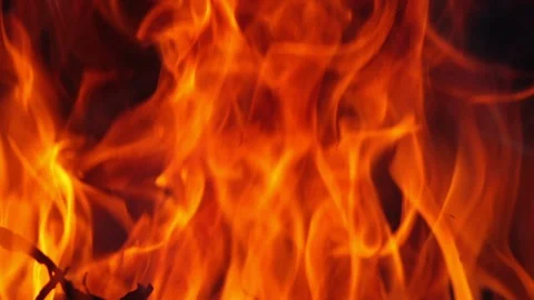 The problem of forest fires that have occurred in Australia severely 库存影片 123055725