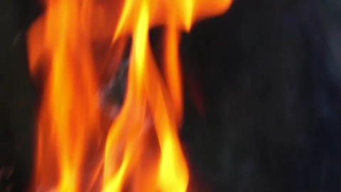 The problem of forest fires that have occurred in Australia severely Video stock 123055792