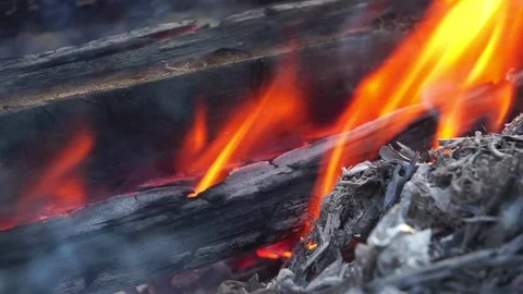 The problem of forest fires that have occurred in Australia severely Stock Footage 123055826