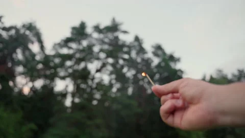 Problem of forests fires around the world. Forests protection Stock Footage 158493103