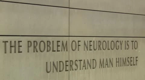 The Problem of Neurology engraving on wall Stock Footage 20450012