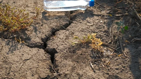 Problem of potable water in field. Vidéo 309322013