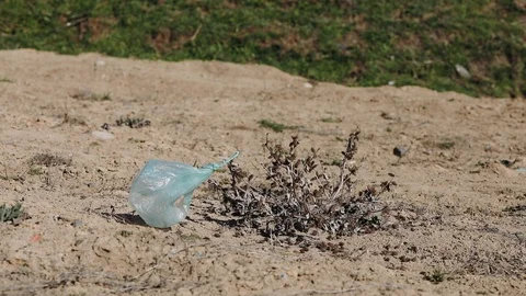 The problem of recycling plastic. Rubbish on the road Stock Footage 108749392