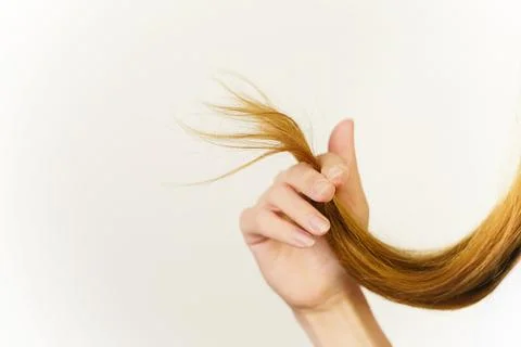 The problem of split ends of hair Stock Photos