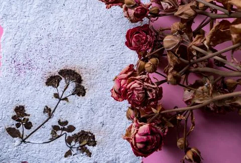 Problems of ecology. Sheets of recycled paper with dried roses. Secondary Stock Photos