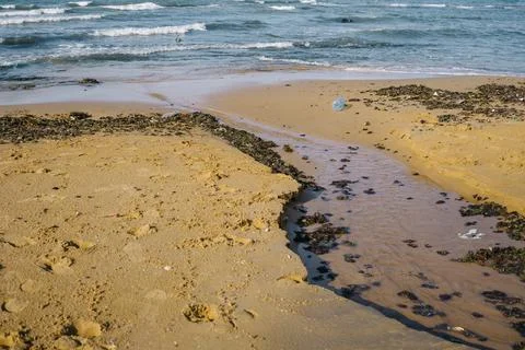 The problems of microplastics on the Black Sea coast. environmental disaster Stock Photos