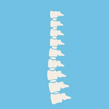 Problems with spine. Posture issues. Vertebral column. Stock Illustration