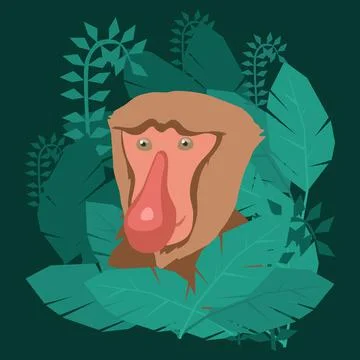 Proboscis monkey face clip art Stock Illustration