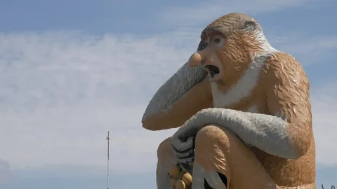 Proboscis monkey or Nasalis larvatus monkey statue, daytime view. 4K Ultra HD Stock Footage 105550226