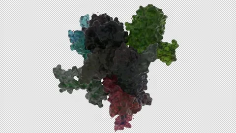 PROCAPSID OF BACTERIOPHAGE PHIX174 Stock Footage 154174065