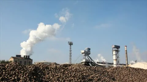 Proccesing sugar beet in sugar refinery. Stock Footage 24658379