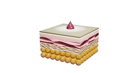 Procedure, application. the drop gets on the skin Stock Footage 146890848