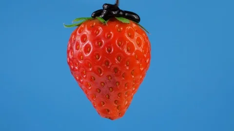 Process of adding a Chocolate syrup on top of the strawberry, blue screen Stock Footage 86550007