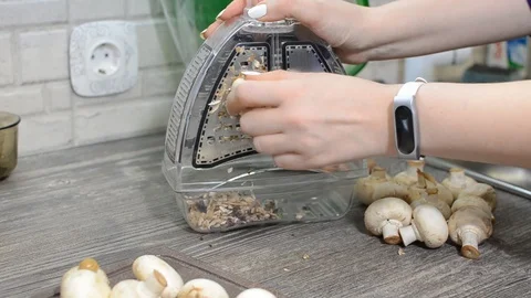 Process and cooking mushrooms for a dish Stock Footage 89127780