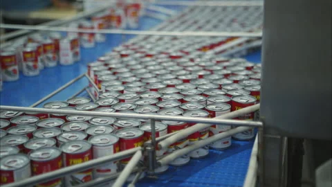 Process and production line in canned fish factory Stock Footage 308313352