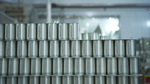 Process and production line in canned fish factory Video stock 308313729