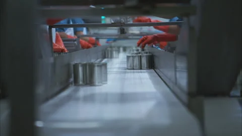 Process and production line in canned fish factory Stock Footage 308315227